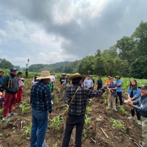Tour del Maíz (Experiencia 15)