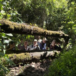 Ritual del Árbol (Experiencia 16)